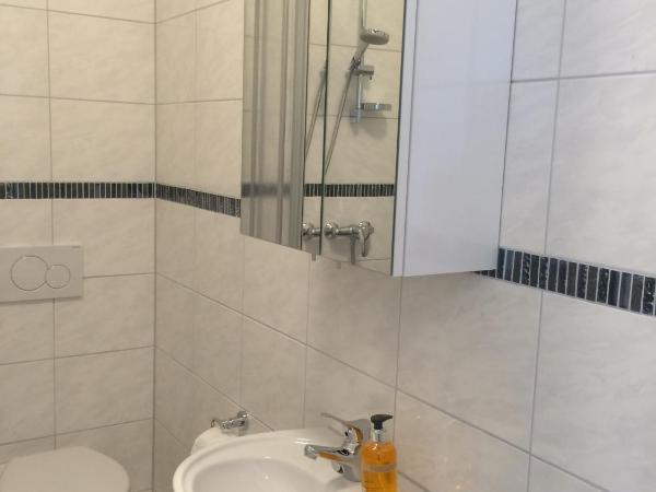 Villa Marie Mannheim : photo 3 de la chambre appartement - rez-de-chaussée (4)