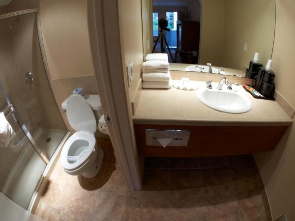 Premier Inns Tolleson : photo 8 de la chambre chambre lit king-size - fumeurs 