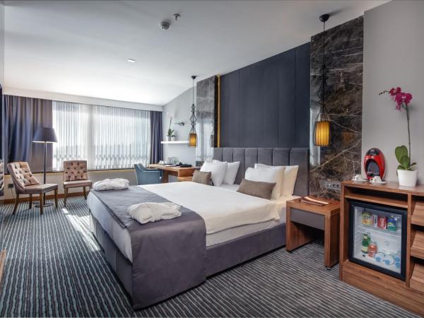 Volley Hotel Istanbul : photo 3 de la chambre suite lit king-size