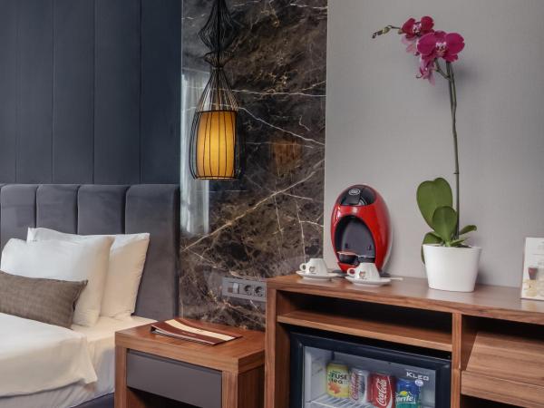 Volley Hotel Istanbul : photo 7 de la chambre suite lit king-size