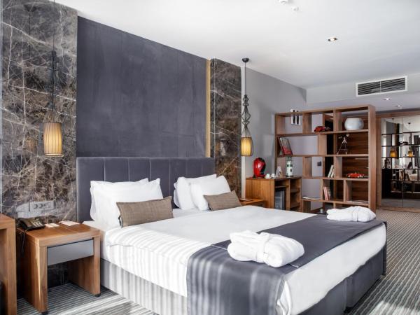 Volley Hotel Istanbul : photo 2 de la chambre suite lit king-size