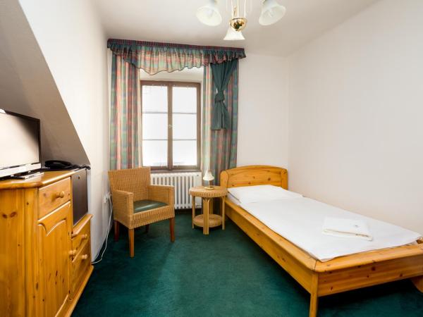 Hotel Zlaty Andel : photo 1 de la chambre chambre simple classique avec douche