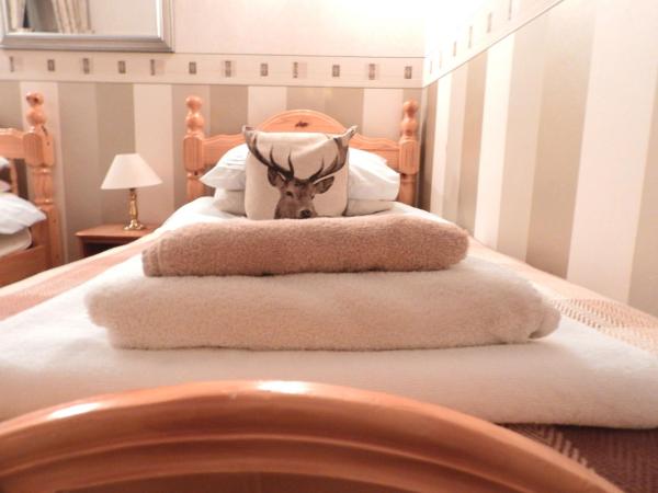 The Stag Head Hotel : photo 1 de la chambre chambre lits jumeaux avec salle de bains privative
