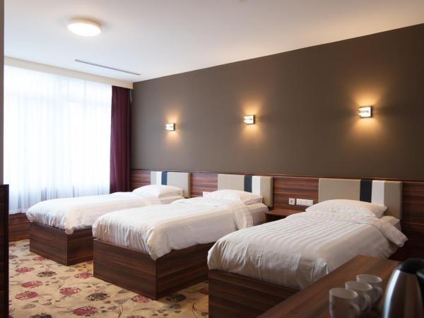 Hotel King's Court : photo 1 de la chambre chambre triple avec salle de bains privative