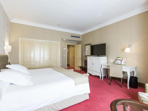 Hotel Carlton : photo 7 de la chambre chambre double ou lits jumeaux supérieure