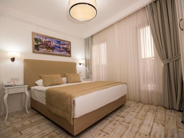 Antis Hotel-Special Category : photo 3 de la chambre chambre double ou lits jumeaux