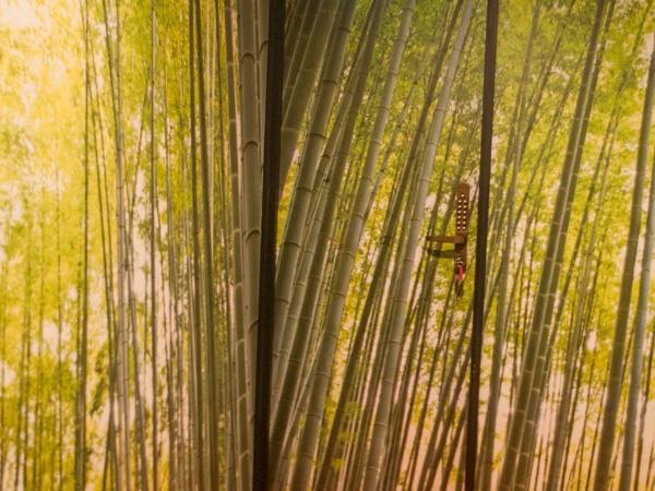 Picnic Hostel Osaka : photo 4 de la chambre chambre lits jumeaux avec salle de bains privative