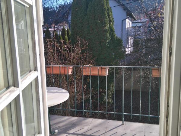 Pension Elisabeth - Rooms & Apartments : photo 8 de la chambre appartement - vue sur jardin