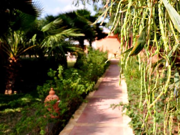 Riad Hamdani : photo 7 de la chambre chambre familiale supérieure