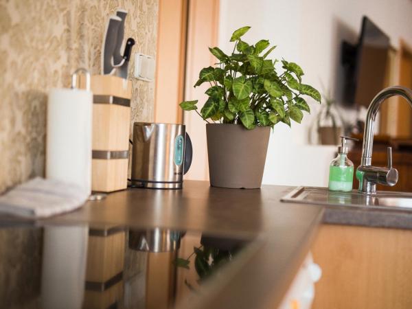 Jacob Brno : photo 6 de la chambre appartement avec terrasse - vue sur ville