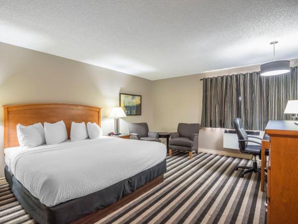 Quality Inn West Edmonton : photo 1 de la chambre chambre lit king-size exécutive - non-fumeurs - douche uniquement
