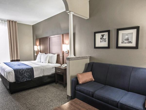 Comfort Suites Houston NW - Vintage Park : photo 5 de la chambre suite lit king-size avec canapé-lit - non-fumeurs