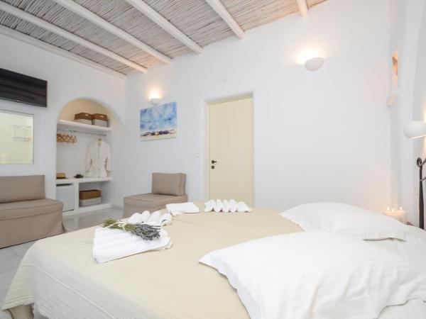 Galini Hotel : photo 9 de la chambre chambre familiale