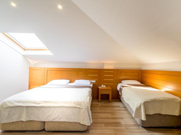 My Rose Hotel : photo 7 de la chambre chambre triple