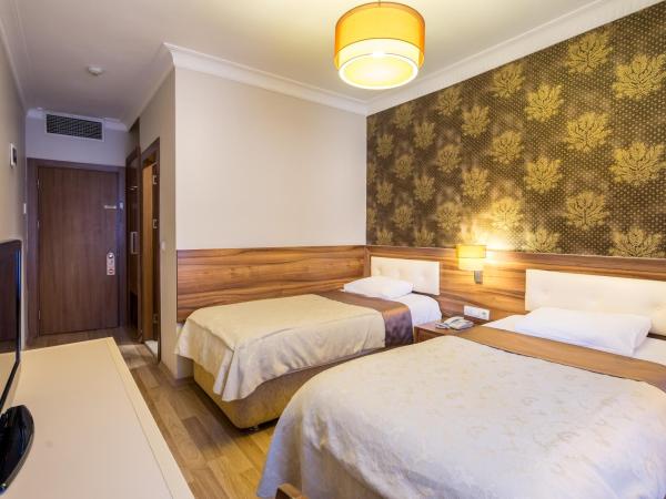 My Rose Hotel : photo 1 de la chambre chambre lits jumeaux standard
