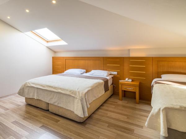 My Rose Hotel : photo 2 de la chambre chambre triple