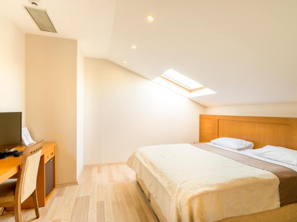 My Rose Hotel : photo 3 de la chambre chambre triple