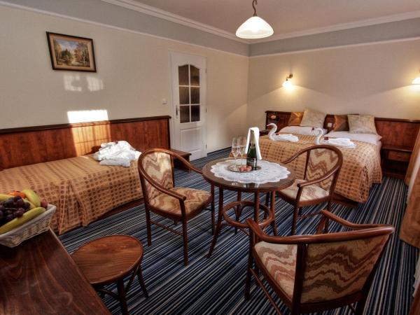 Spa & Wellness Hotel Harmonie : photo 8 de la chambre chambre triple avec vue