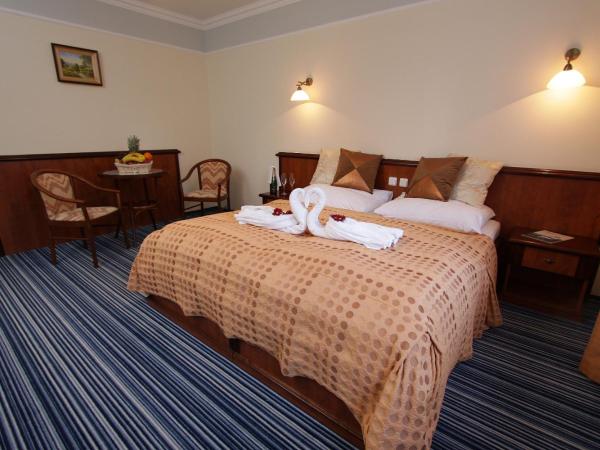 Spa & Wellness Hotel Harmonie : photo 4 de la chambre chambre double