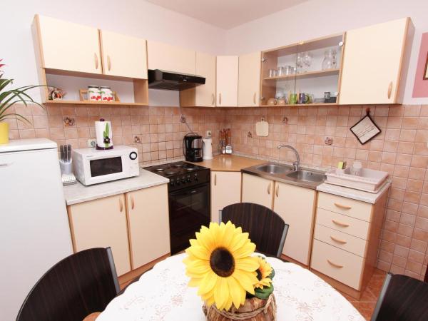 Rooms and Apartment Sanja : photo 6 de la chambre appartement 2 chambres avec terrasse