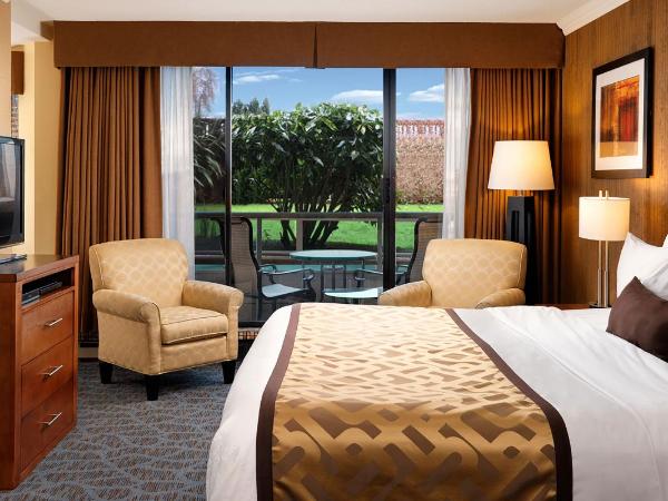 Best Western PLUS Inner Harbour Hotel : photo 5 de la chambre chambre lit king-size avec terrasse au rez-de-chaussée et vue sur jardin - non-fumeurs