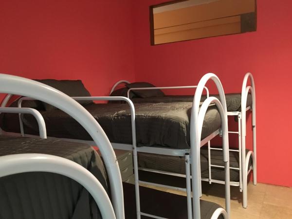 Lion Hostel : photo 4 de la chambre lit dans dortoir pour femmes de 6 lits