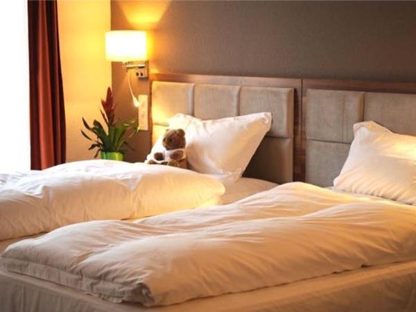 Falken am Rotsee : photo 2 de la chambre chambre double