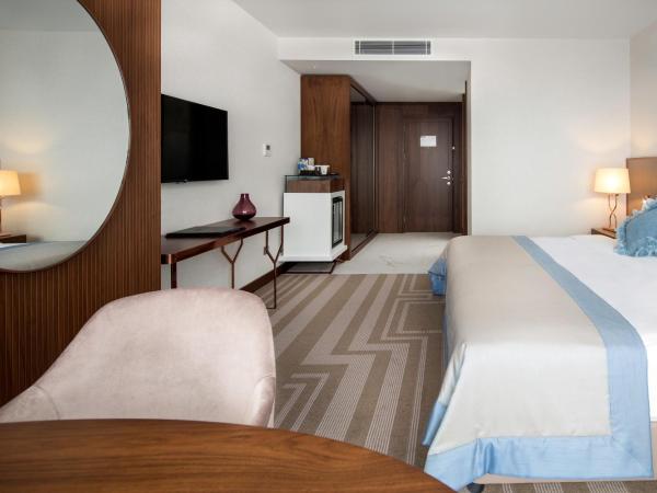 Lionel Hotel Istanbul : photo 4 de la chambre chambre double ou lits jumeaux supérieure