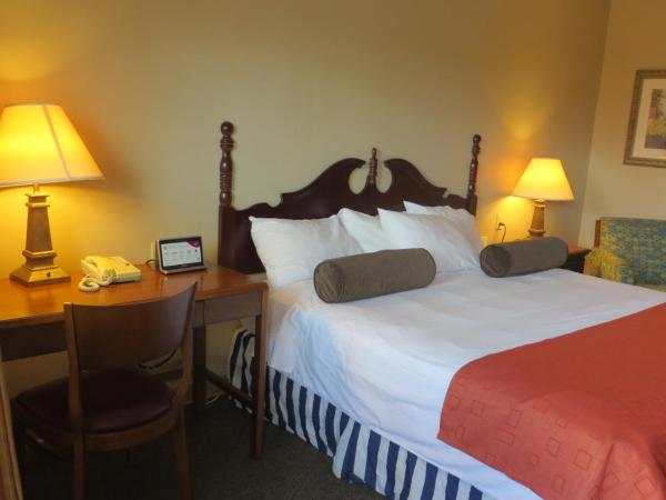 Astro Best Inn : photo 1 de la chambre chambre lit king-size