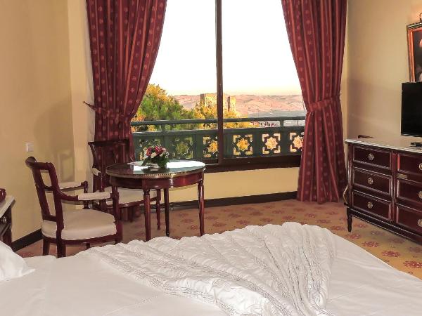 Les Mérinides : photo 3 de la chambre chambre simple - vue sur montagne