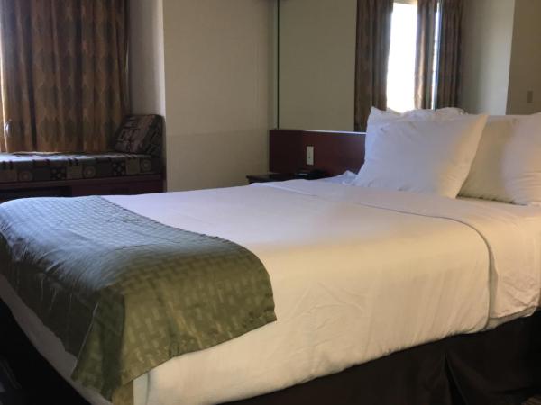 Microtel Inn & Suites by Wyndham Indianapolis Airport : photo 8 de la chambre suite lit queen-size avec canapé-lit - accessible aux personnes à mobilité réduite