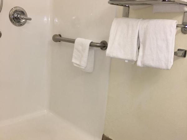 Microtel Inn & Suites by Wyndham Indianapolis Airport : photo 2 de la chambre chambre 2 lits queen-size - accessible aux personnes à mobilité réduite - non-fumeurs