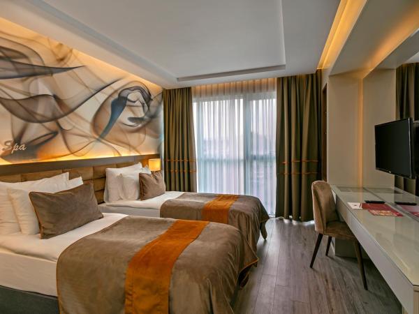 B Business Hotel & Spa : photo 1 de la chambre chambre deluxe standard