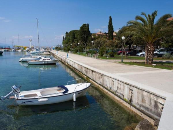 Apartmani Cvelic : photo 3 de la chambre appartement 1 chambre