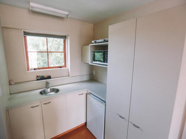 Addington Stadium Motel : photo 4 de la chambre studio lit queen-size