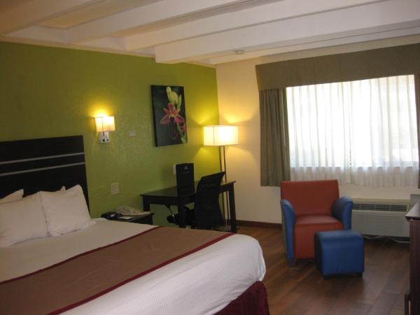 Best Western Orlando West : photo 5 de la chambre chambre lit king-size - non-fumeurs