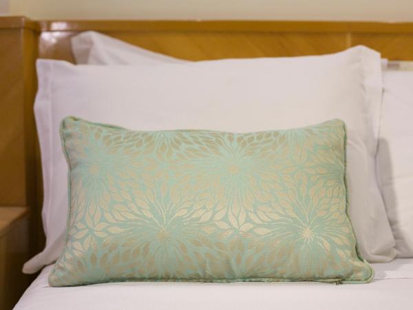 Scorial Rio Hotel : photo 3 de la chambre chambre double Économique