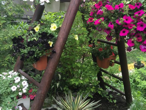 Zimorodek poczuj z nami magię Karpacza : photo 2 de la chambre chambre double