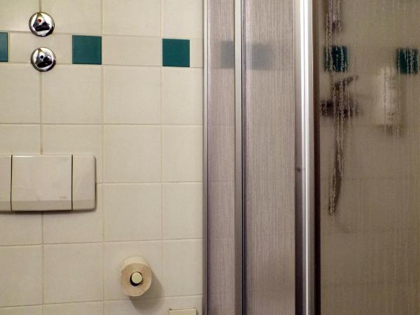 Hotel Merseburger Hof : photo 5 de la chambre chambre simple