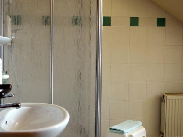 Hotel Merseburger Hof : photo 6 de la chambre chambre simple