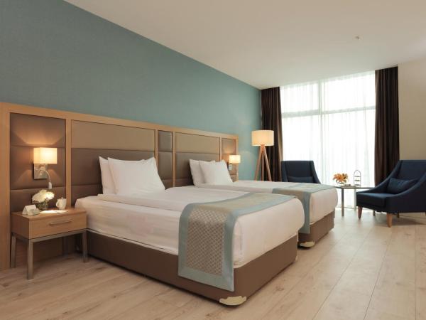 The Ankara Hotel : photo 7 de la chambre chambre lits jumeaux supérieure