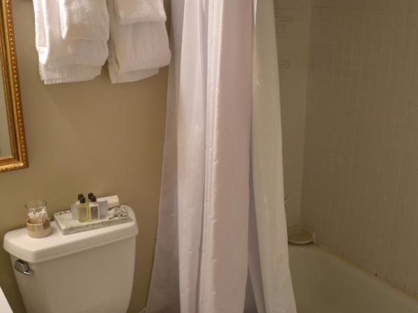 Edgar Degas House Historic Home and Museum : photo 9 de la chambre chambre double de luxe - 5634914