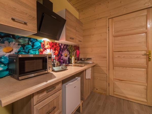 Apartamenty i pokoje gościnne Nowita : photo 5 de la chambre appartement deluxe