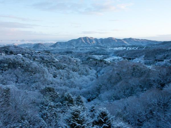 Arima Onsen Motoyu Ryuusenkaku : photo 7 de la chambre japanese style room 18sqm with mountain view - non smoking