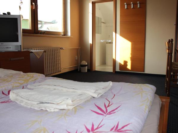 Pension Lukas : photo 6 de la chambre chambre double avec baignoire #7