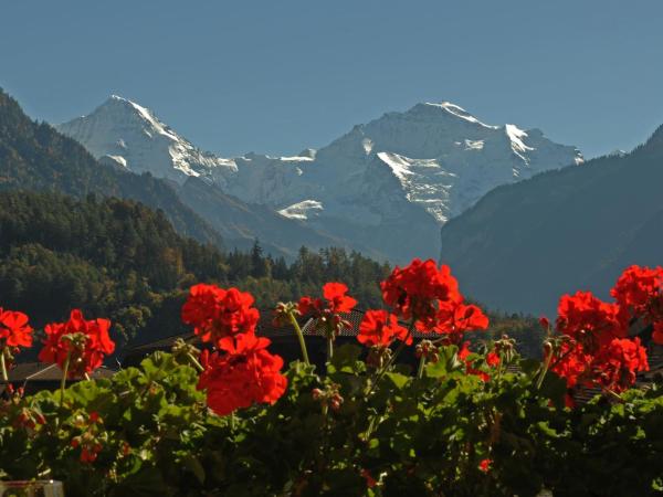 Post Hardermannli : photo 9 de la chambre chambre double supérieure