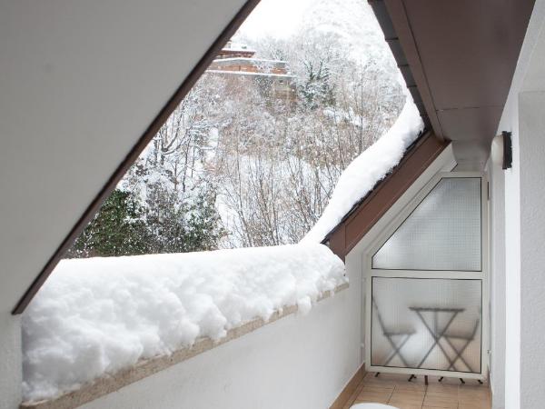 Insitu Eurotel Andorra : photo 5 de la chambre chambre lits jumeaux avec terrasse