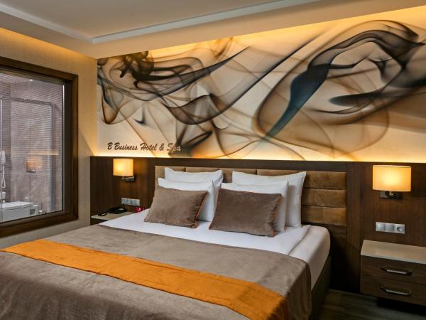 B Business Hotel & Spa : photo 3 de la chambre chambre deluxe standard