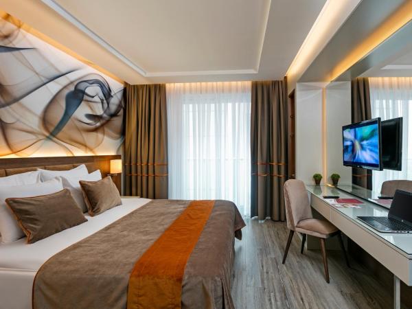 B Business Hotel & Spa : photo 4 de la chambre chambre deluxe standard
