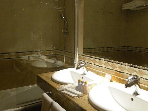 Hotel Ele Puente Romano de Salamanca : photo 3 de la chambre chambre simple